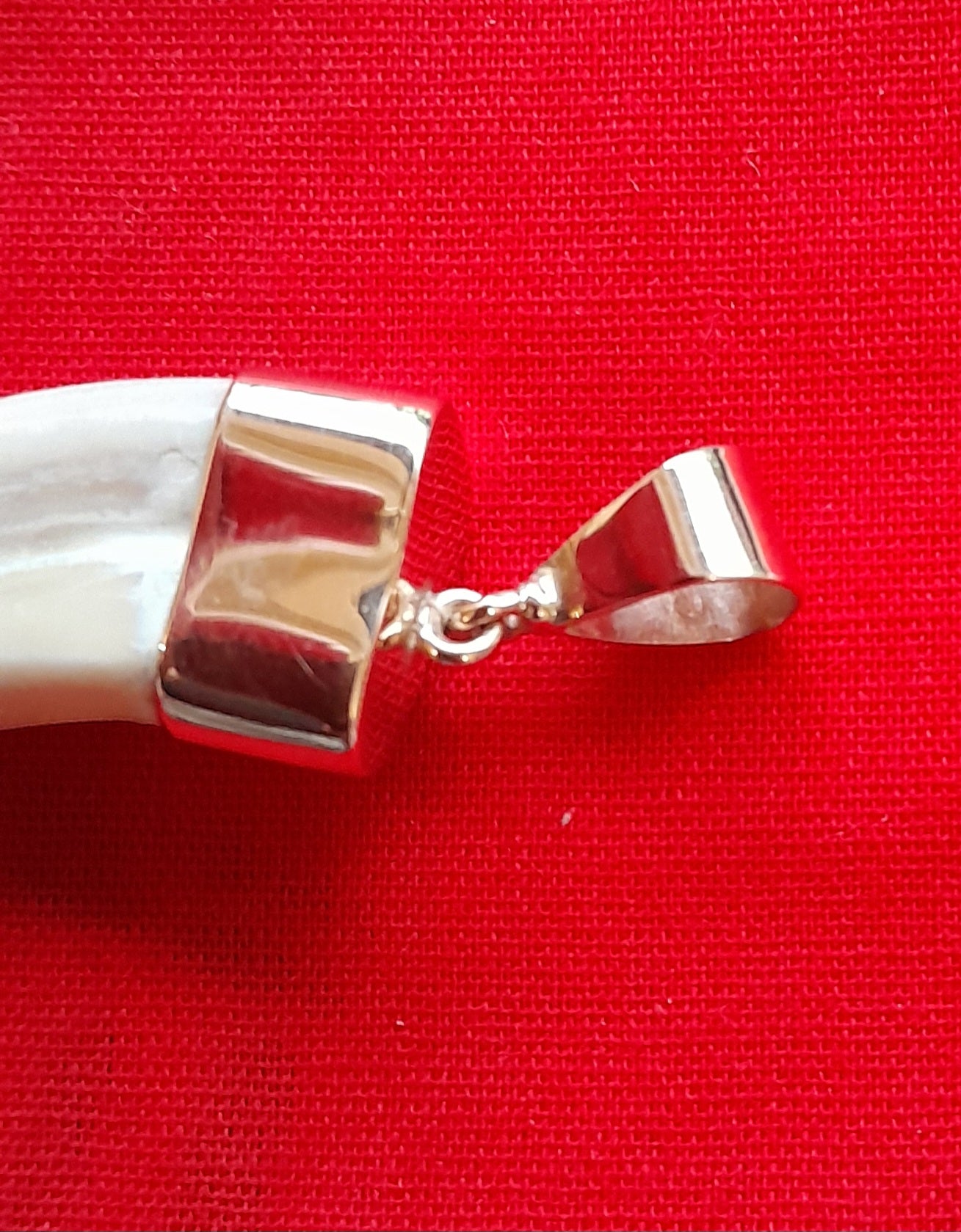 WHTP Warthog tusk 9ct gold pendant - Image 2
