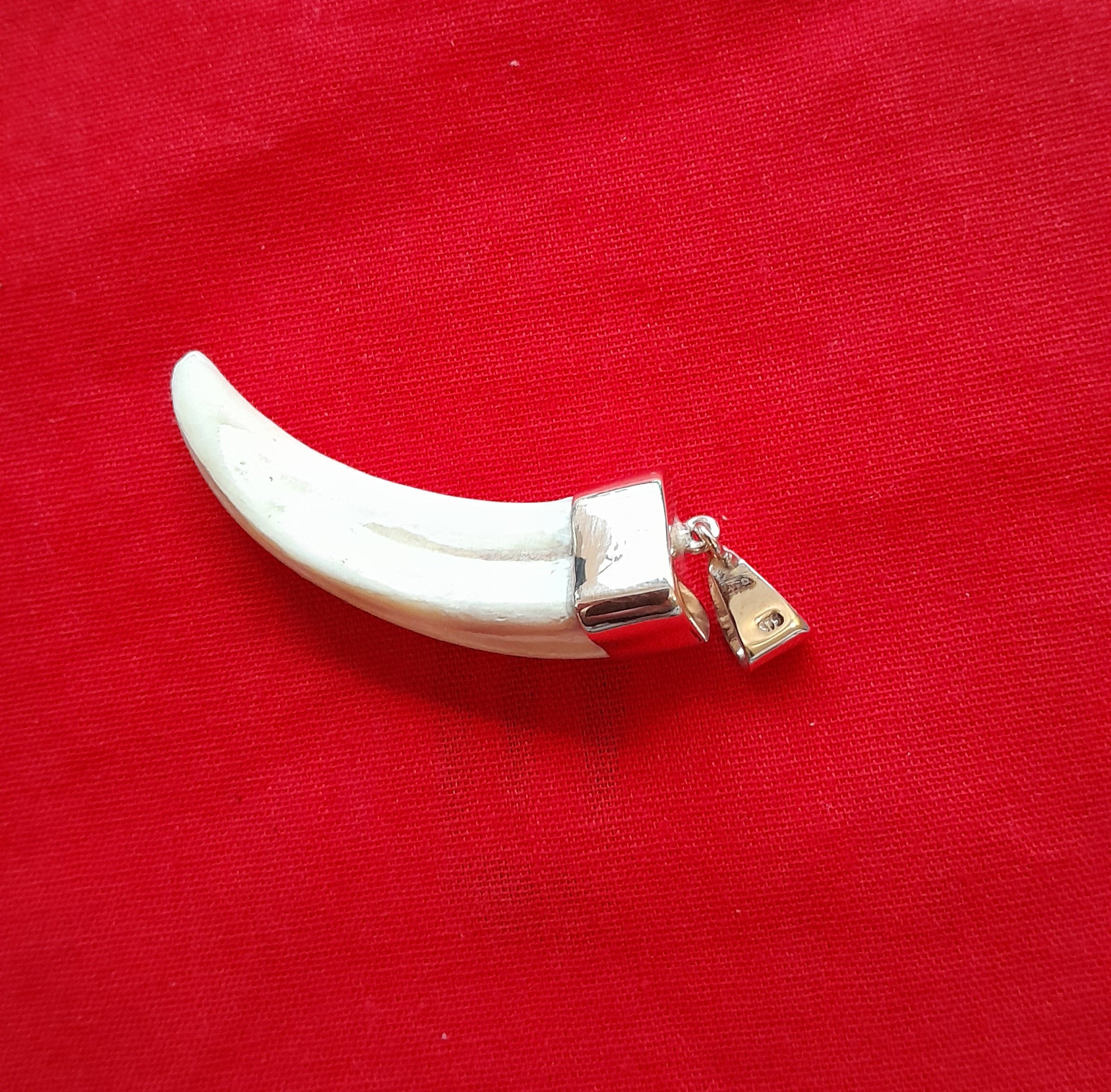 WHTP Warthog tusk 9ct gold pendant - Image 3