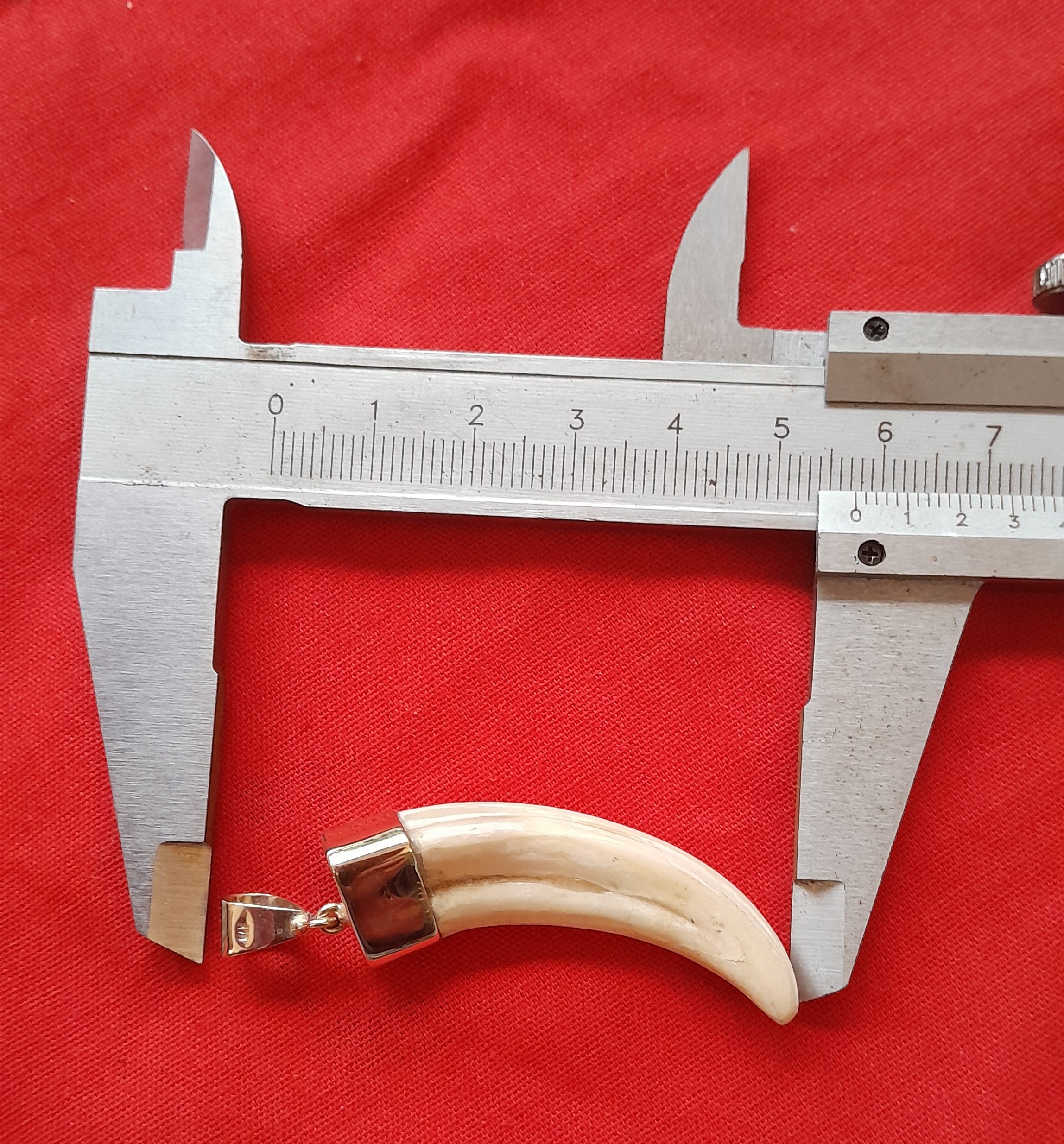 WHTP Warthog tusk 9ct gold pendant - Image 4